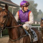 découvrez les partants pmu d'aujourd'hui et les chevaux à surveiller pour vos pronostics hippiques. suivez les performances et maximisez vos chances de gain !