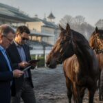découvrez notre prono du quinté d'aujourd'hui avec une analyse détaillée des chevaux à suivre impérativement pour maximiser vos chances de gains.